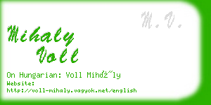 mihaly voll business card